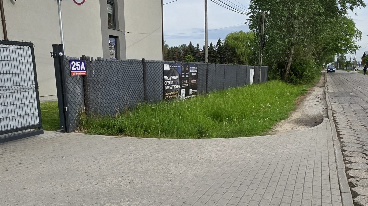 Pas zieleni